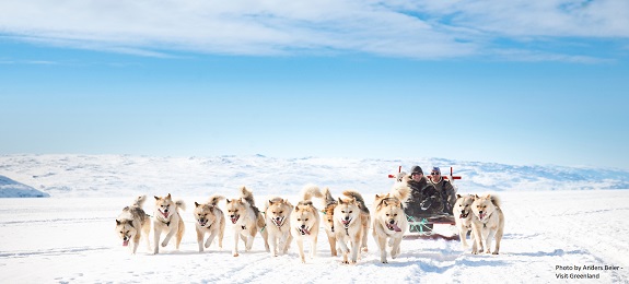 Kangerlussuaq: Aurore boreali, ghiacciai e fauna polare